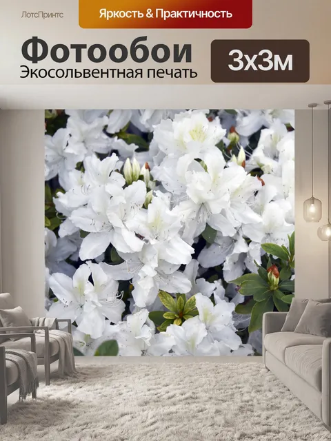 Фотообои Полные рамки белые лилии