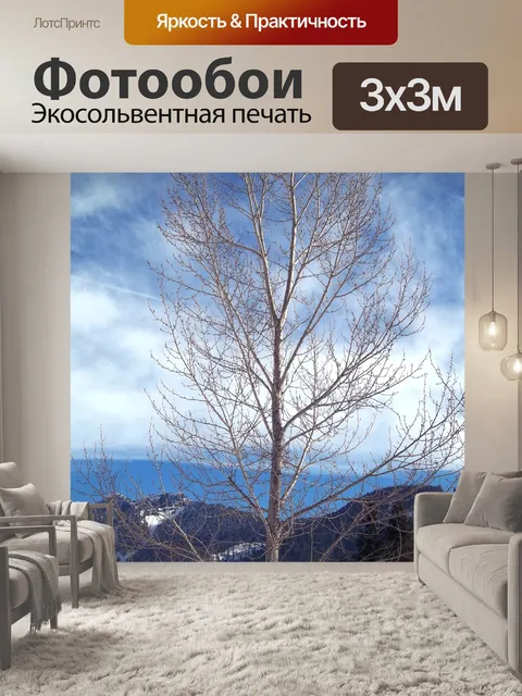 Фотообои Дерево в снежном лесу
