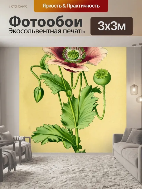Фотообои Цветок красный винтаж арт
