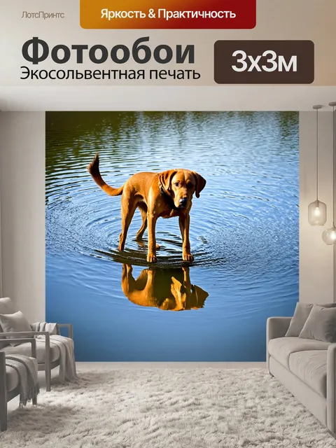 Фотообои лабрадор, смотрящий на свой отражение в воде, момент самоосознания, природа