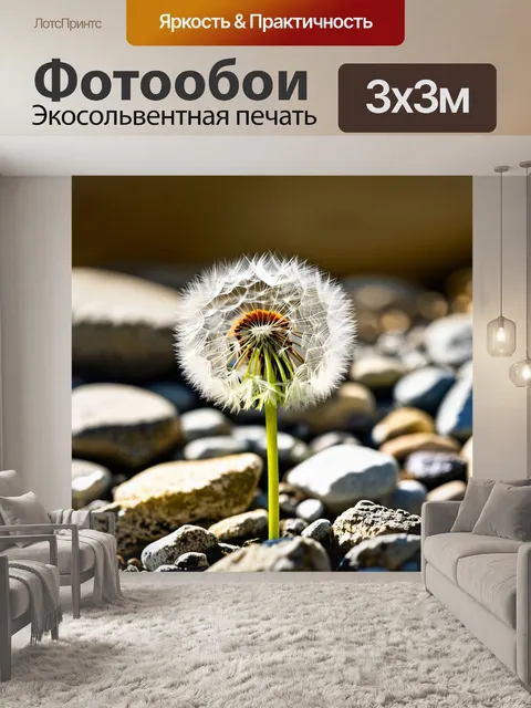 Фотообои одуванчик, стоящий одиноко на каменистой поверхности, с близким ракурсом, показывающим детали его…