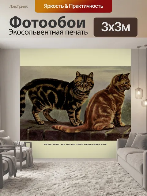 Фотообои Кошки Урожай Живопись