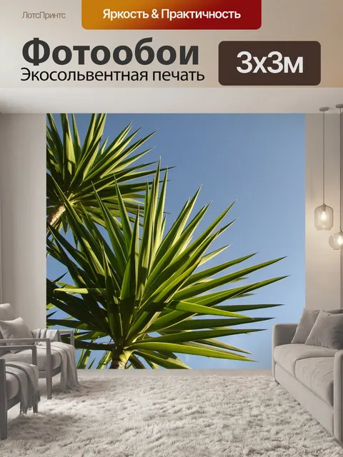 Фотообои Португалия