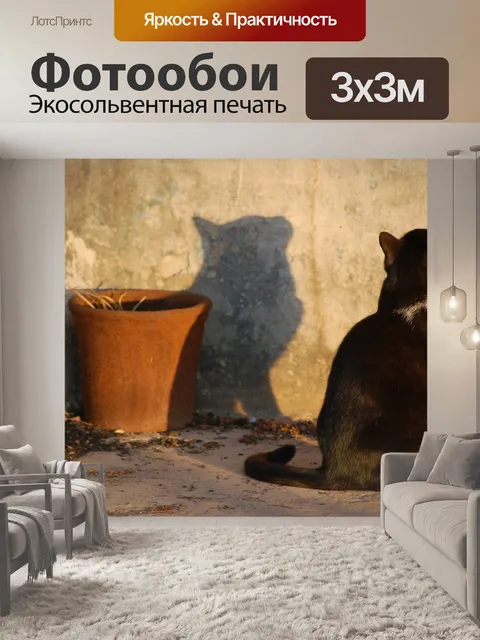 Фотообои Кошка