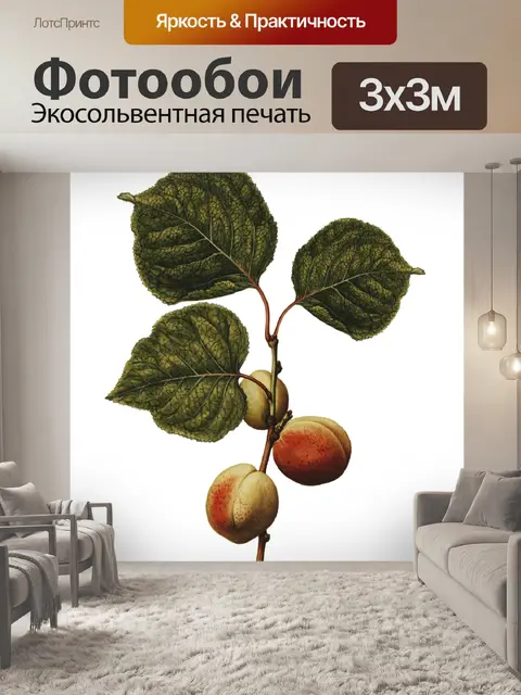 Фотообои Винтажное искусство нектаринов