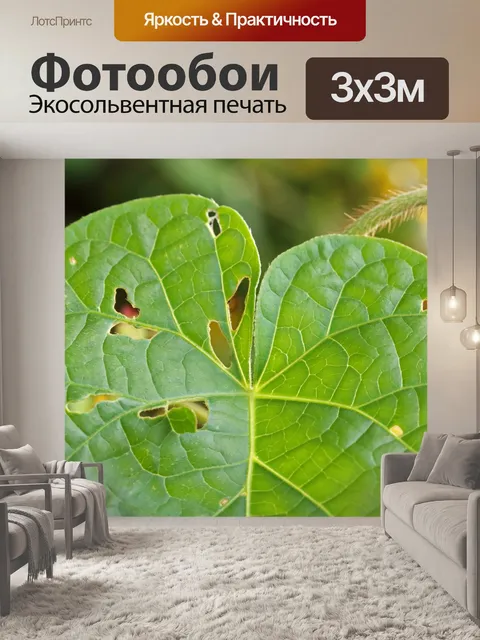 Фотообои основа из листа ипомеи