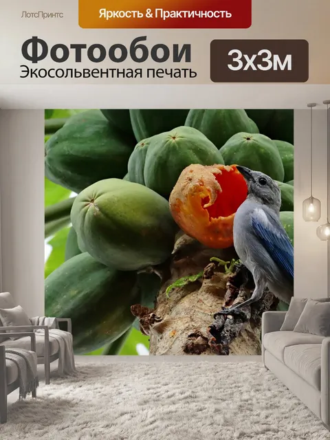 Фотообои Птичка