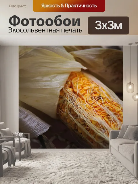 Фотообои сморщенная кукуруза в початках