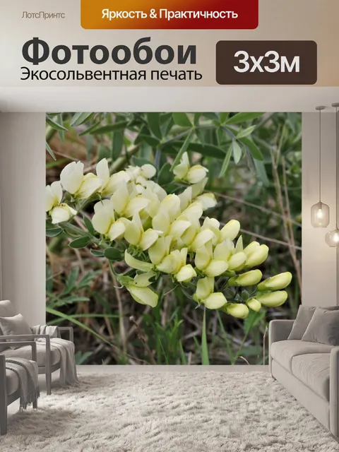 Фотообои Кремовый дикий индиго полевые цветы