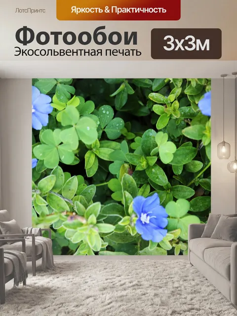 Фотообои синие цветы и зеленые листья