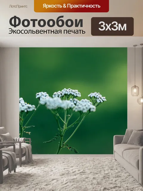 Фотообои Цветы