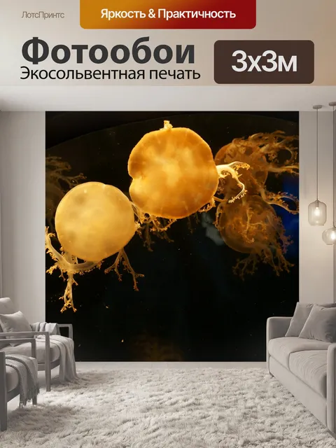 Фотообои Медузы