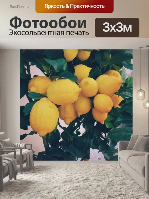 Фотообои Лимонное дерево