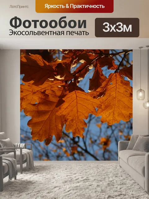 Фотообои Дубовые листья