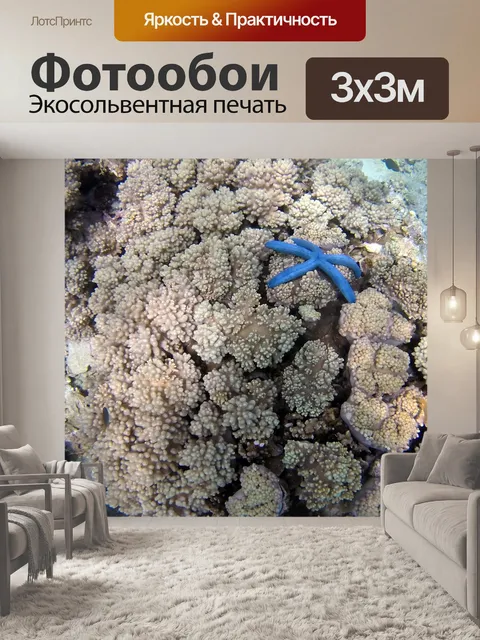 Фотообои Коралл