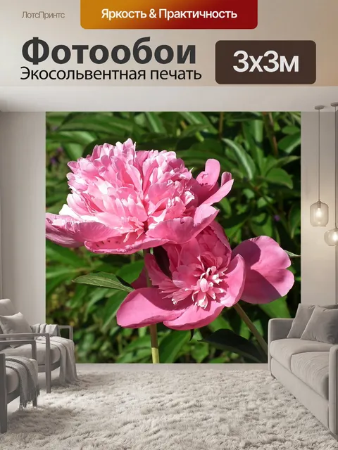 Фотообои Пионы