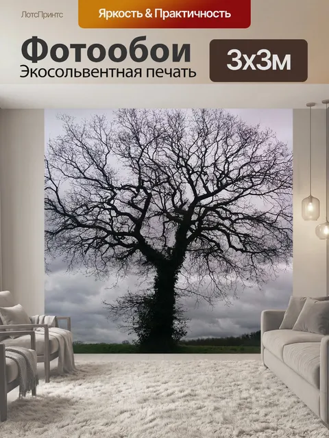 Фотообои Дерево без листьев