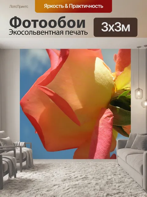 Фотообои Розовый