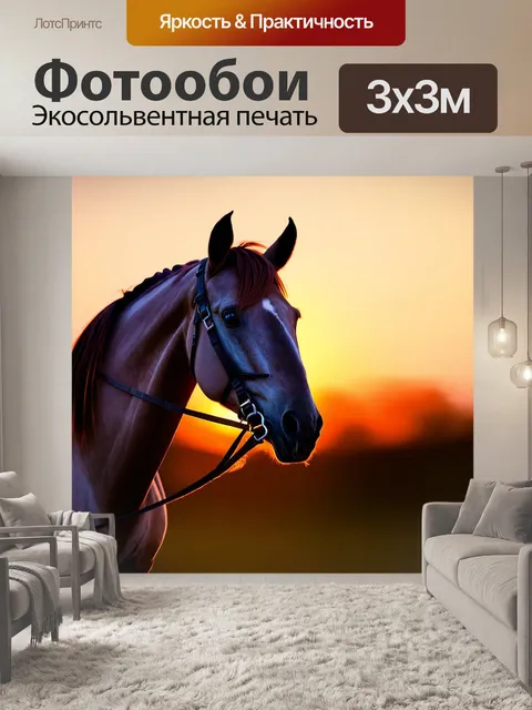 Фотообои аравийская скаковая лошадь
