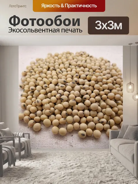 Фотообои Соя