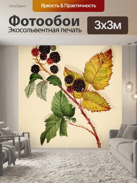 Фотообои Ежевика