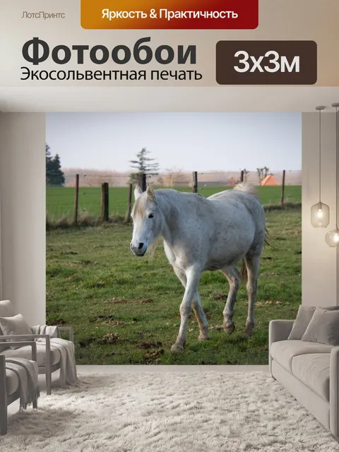 Фотообои белая лошадь