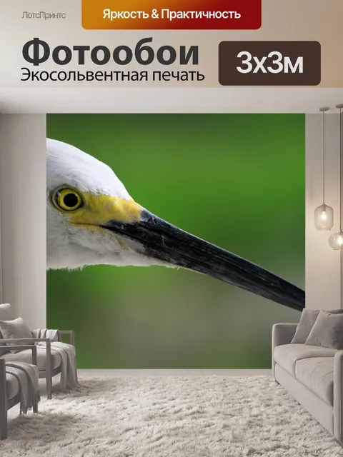 Фотообои Белая цапля