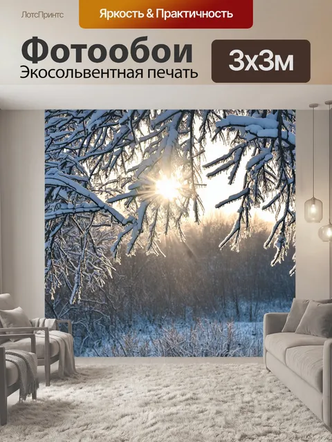 Фотообои очарование зимнего утреннего света, когда яркие лучи солнца проникают сквозь инеем покрытые ветки деревьев