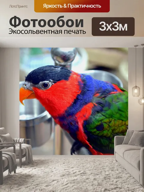 Фотообои Красочный попугай