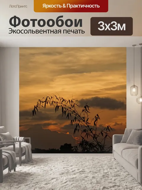Фотообои Заход солнца