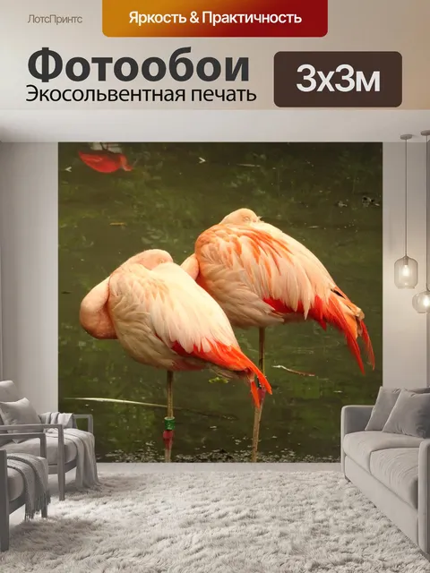 Фотообои Фламинго