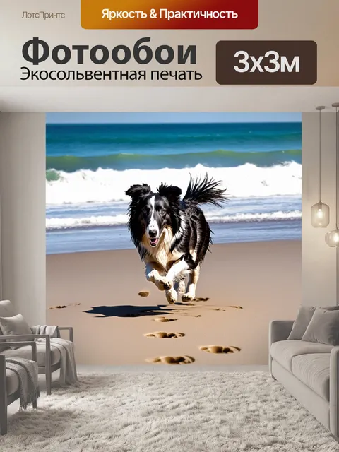 Фотообои колли, бегающий по пляжу, оставляя следы на влажном песке, его шерсть влажная от брызг морской воды