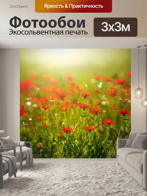 Фотообои лужайка с маленькими красными цветами и ярким солнечным светом