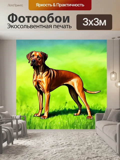 Фотообои в солнечный день, на фоне зелёного поля, стоит родезийский риджбек с характерной линией на спине