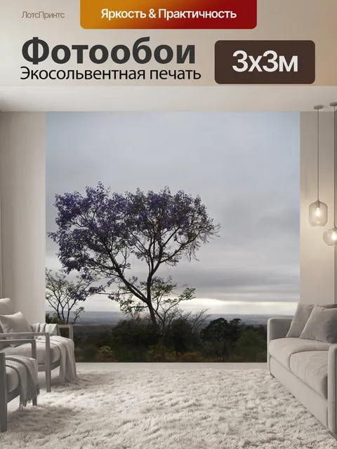 Фотообои высокое цветущее дерево джакаранда