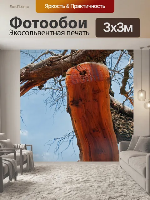 Фотообои разделить ствол дерева с красным деревом