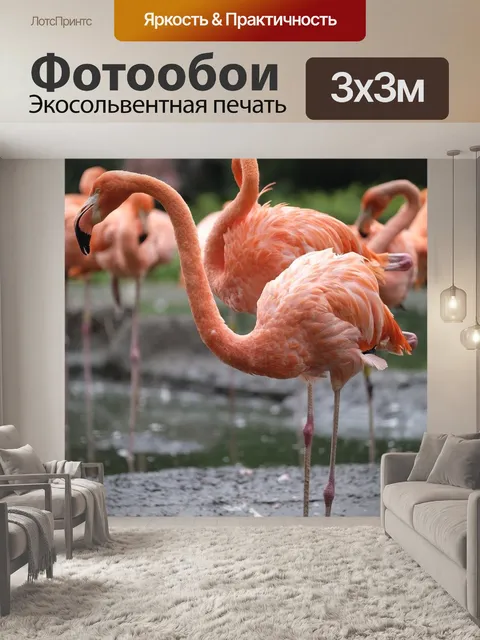 Фотообои Фламинго
