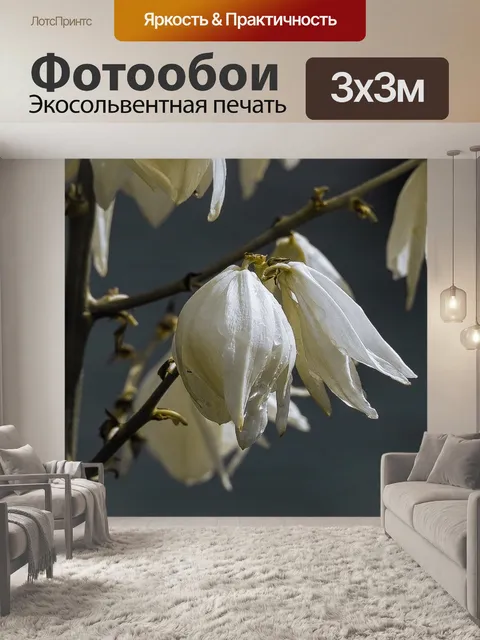 Фотообои Цветок