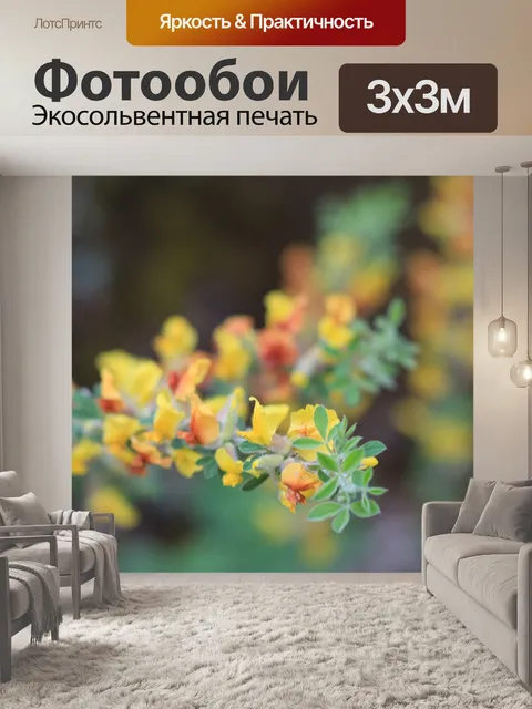 Фотообои Зеленый
