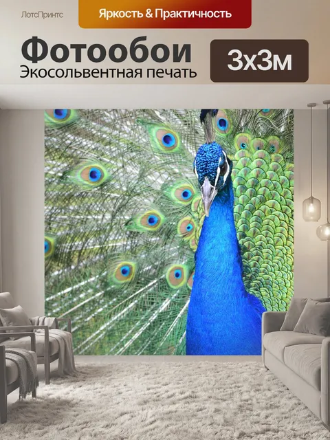 Фотообои Павлин