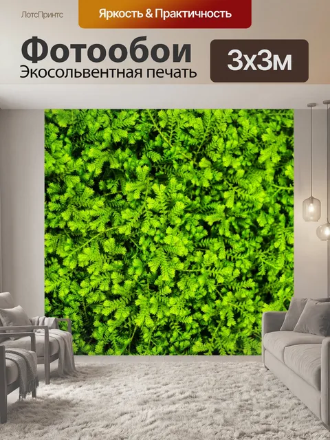 Фотообои листья папоротника зеленый фон