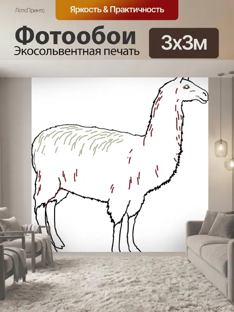 Фотообои Лама