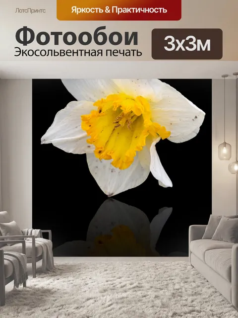 Фотообои Цветок нарцисс