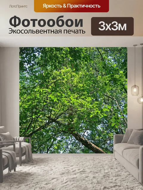 Фотообои свет на ярко-зеленых листьях
