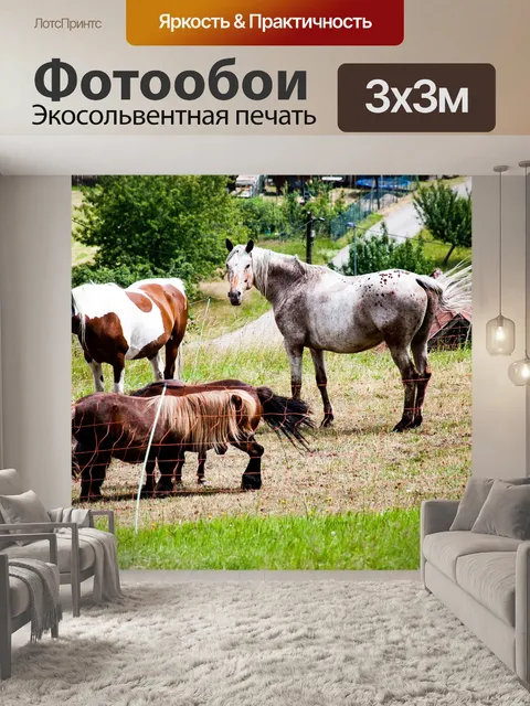 Фотообои Лошади