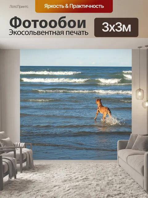 Фотообои Собака