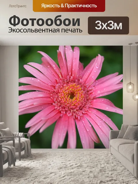 Фотообои Розовый