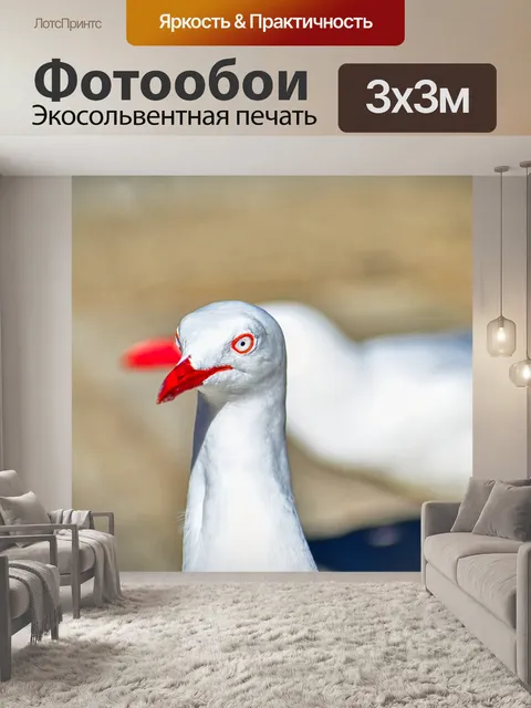 Фотообои Птиц голова