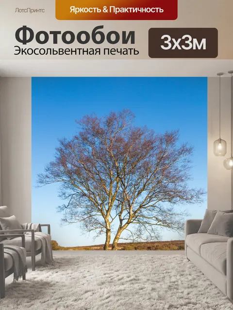 Фотообои Голые дерево