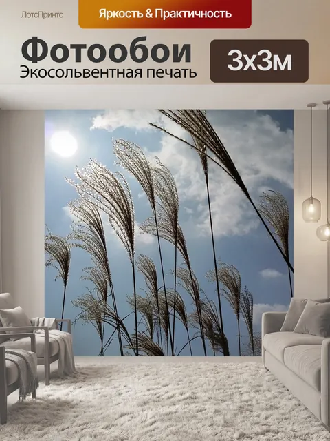 Фотообои Небо осени